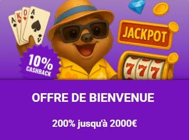 Partyspins Casino bonus bienvenue